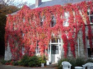 Отели типа «постель и завтрак» Frewin Country House Ramelton-2